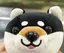 はしのプロフィール画像
