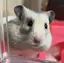 riaのプロフィール画像