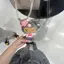あゆかのプロフィール画像