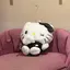 ぽんのプロフィール画像