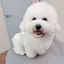 めのプロフィール画像