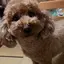 もさのプロフィール画像