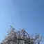 岡本純花のプロフィール画像
