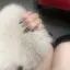 nhのプロフィール画像