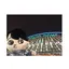 いもぞんのプロフィール画像