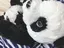 ももかのプロフィール画像