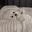 みうのプロフィール画像