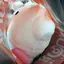 kiのプロフィール画像