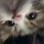 かずえのプロフィール画像
