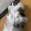 りゅーやのプロフィール画像