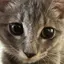 楓のプロフィール画像