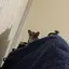 みさきのプロフィール画像