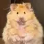 Asaのプロフィール画像