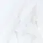 Rのプロフィール画像