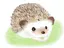 みゆのプロフィール画像