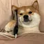 さっこのプロフィール画像