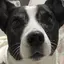 Leeのプロフィール画像
