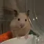 ぴょんのプロフィール画像