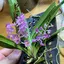 リョウのプロフィール画像