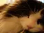 mのプロフィール画像