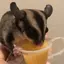 ちぃのプロフィール画像