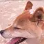 かなのプロフィール画像