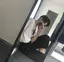 克紀のプロフィール画像