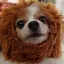 那月のプロフィール画像
