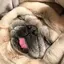 miのプロフィール画像