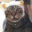 ひろりんのプロフィール画像