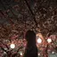Schwarberのプロフィール画像