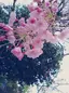 優花のプロフィール画像