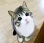 ななのプロフィール画像