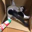 あゆみのプロフィール画像