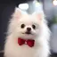 つかちのプロフィール画像