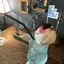 Emiのプロフィール画像