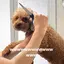 アンバターのプロフィール画像