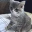 麗のプロフィール画像