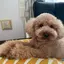 nonのプロフィール画像