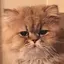 くちぱっちのプロフィール画像