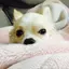 miyuのプロフィール画像