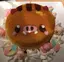 ぬーのプロフィール画像