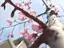 みおのプロフィール画像