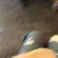 mのプロフィール画像