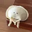 優空のプロフィール画像