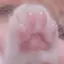このプロフィール画像