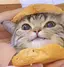 あしゃのプロフィール画像
