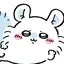 ranのプロフィール画像