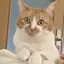 恵美のプロフィール画像