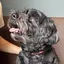 L K Kのプロフィール画像